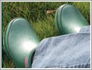 Shoes & Cloggies