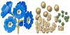 The Seed & Bulb Shop