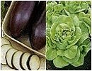 Suttons Veg A - L