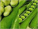 Unwins Peas & Beans