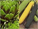Unwins Vegetable A - K