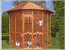 Aviaries