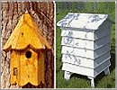 Hive & Composter