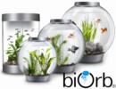 Reef One Aquariums