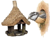 Bird houses and Nesting Boxes