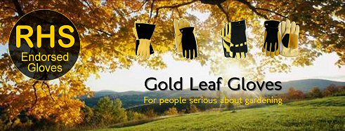 Gold leaf gardening gloves