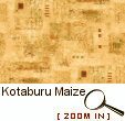 Kotaburu Maize