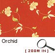 Orchid