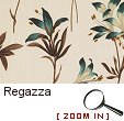 Regazza