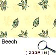 Beech