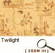 Twilight