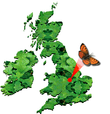 Leicester Map