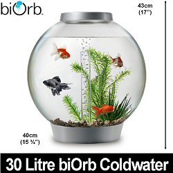 Biorb 30 Litre Coldwater acrylic self contained aquarium - Without light