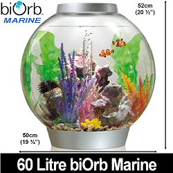 Biorb 60 Litre Marine acrylic self contained aquarium - With integral biorb halogen light