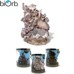 Biorb Samuel Barker Collection - Clamshell Aquarium Sculpture