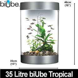 Biube 35 Litre Tropical acrylic self contained aquarium - With integral biorb halogen light