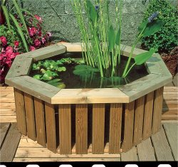 Indoor and Outdoor Pools - Terrace Ponds