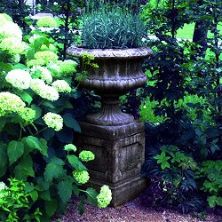 Troughs, Tazzas, Urns and Vases - Derbyshire Vase On Regency Plinth