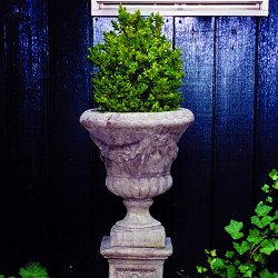 Troughs, Tazzas, Urns and Vases - Laurel Vase