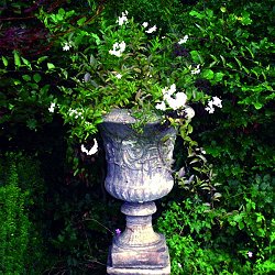 Troughs, Tazzas, Urns and Vases - Medici Vase
