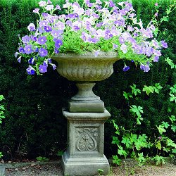 Troughs, Tazzas, Urns and Vases - Medium Victorian Tazza On Emblem Plinth