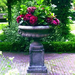 Troughs, Tazzas, Urns and Vases - Edwardian Tazza On Plain Plinth