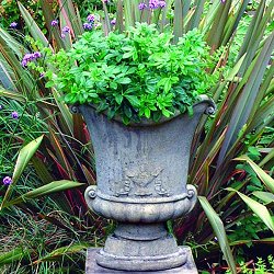 Troughs, Tazzas, Urns and Vases - Athenian Vase