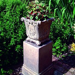 Stone Plinths - Vienna Vase 22 On Vienna Plinth