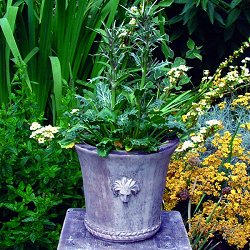 Troughs, Tazzas, Urns and Vases - Vienna Vase 23