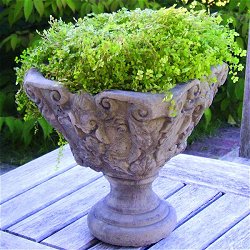 Troughs, Tazzas, Urns and Vases - Vienna Vase 33