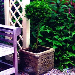 Troughs, Tazzas, Urns and Vases - Regency Vase
