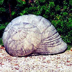 Stone Shells - Snail Shell