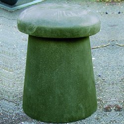 Stone Mushrooms - Mushroom