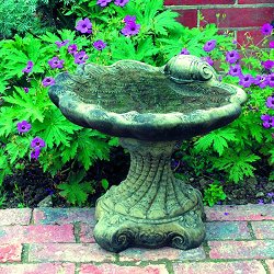 Fountains and Water Features - Shell Birdbath