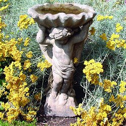 Fountains and Water Features - Angel and Shell Birdbath