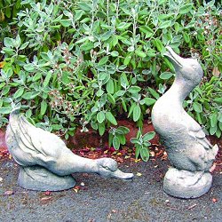 Animal Sculptures - Courting Ducks