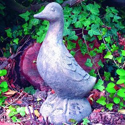 Animal Sculptures - Duck