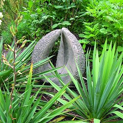 Modern Sculptures - Pod