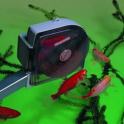 Pond Filters - Pond Fish Feeder