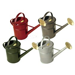 8.8 Litre Fine As Rain Traditional Galvanised Cans - Round All Brass Sprayhead