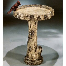 Henri Birdbaths - Birch Birdbath