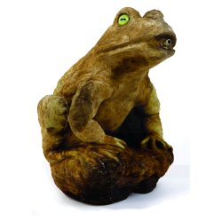 Henri Statuary - Small Frog