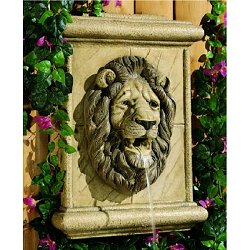 Henri Self Contained Wall Fountains - Lion Wall Plaque