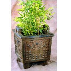 Henri Planters - Square Marco Polo Planter