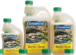 Bio Active Pond Treatment - Extract Of Barley Straw