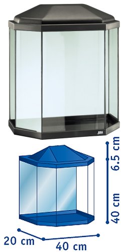 Rena Kid Maxi Aquarium with Light - Easy-to-use Aquariums Delivered Ready-to-use.