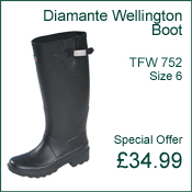 Wellington Boots - Diamante Wellington Boots Size 6