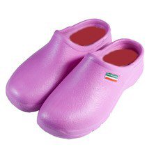 Shoes & Cloggies - Cloggies