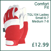 Gloves - Comfort Fit