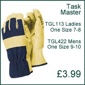 Gloves - Task Master